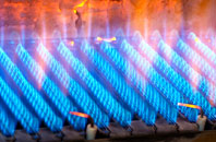 Saltmarshe gas fired boilers